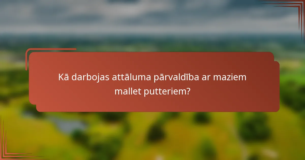 Kā darbojas attāluma pārvaldība ar maziem mallet putteriem?