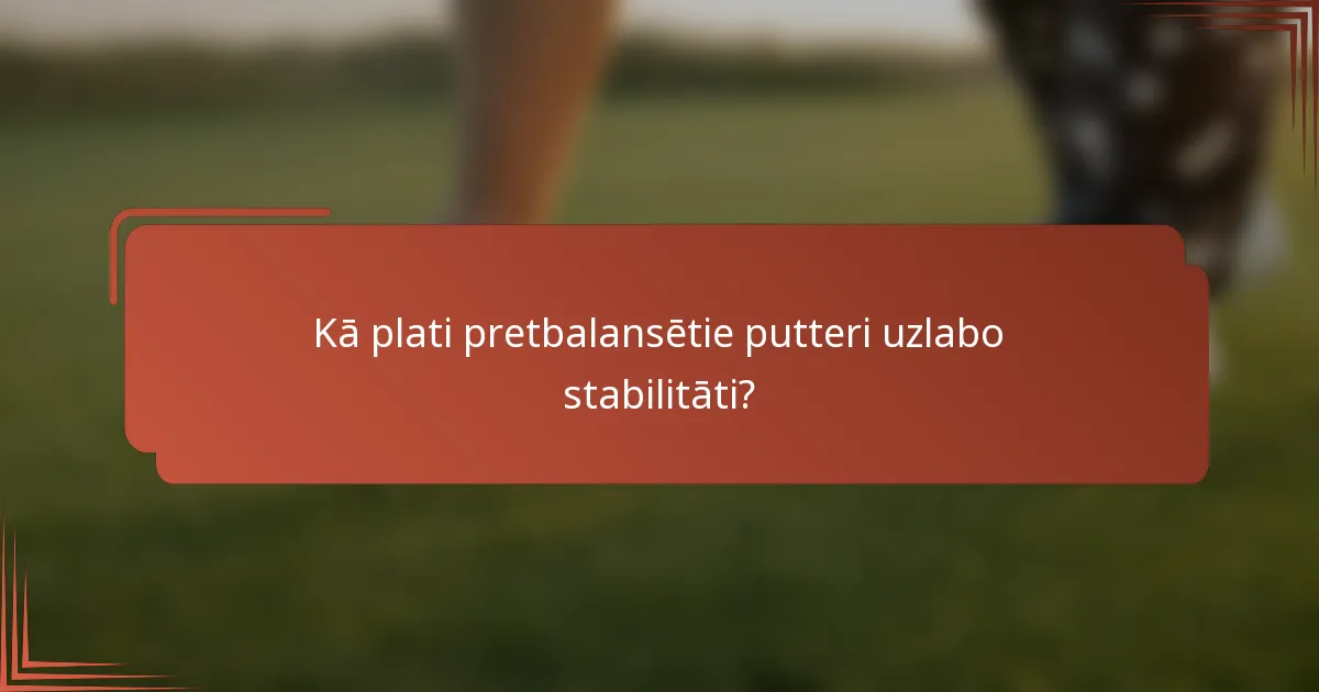 Kā plati pretbalansētie putteri uzlabo stabilitāti?