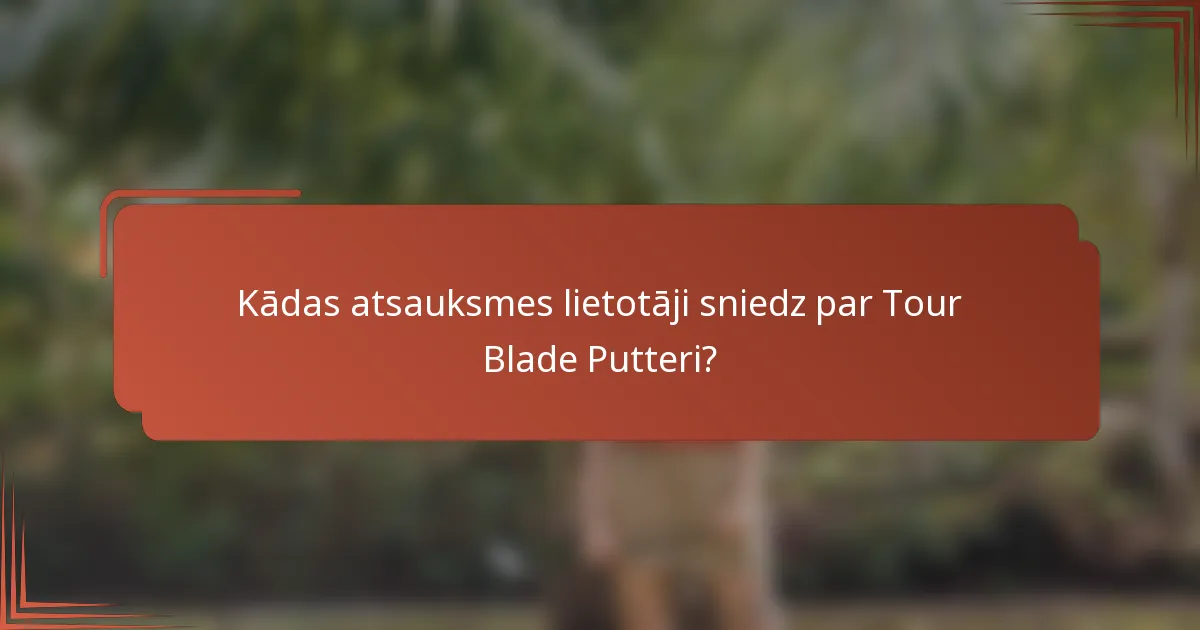 Kādas atsauksmes lietotāji sniedz par Tour Blade Putteri?