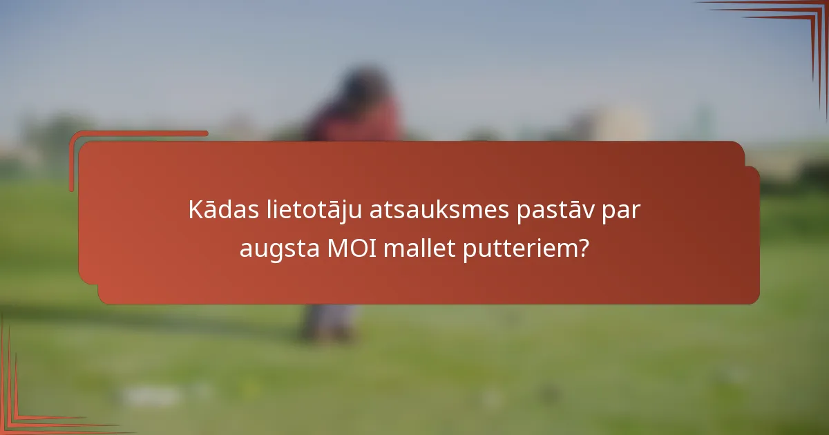 Kādas lietotāju atsauksmes pastāv par augsta MOI mallet putteriem?