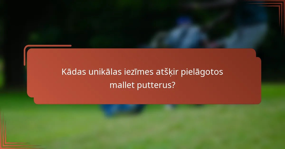 Kādas unikālas iezīmes atšķir pielāgotos mallet putterus?