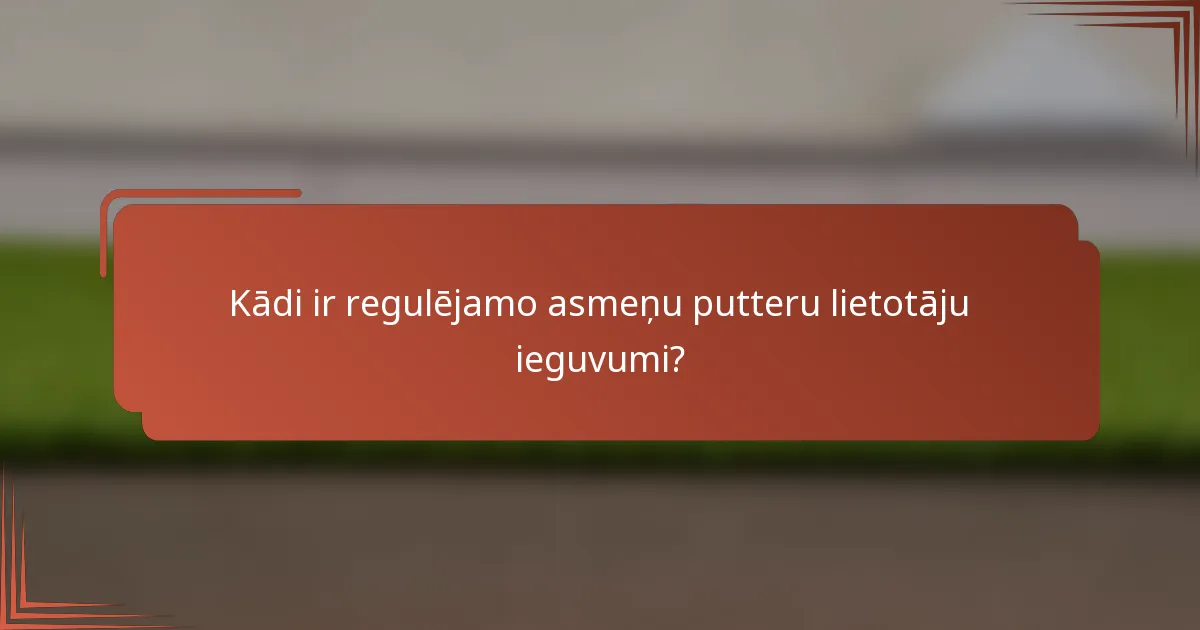 Kādi ir regulējamo asmeņu putteru lietotāju ieguvumi?
