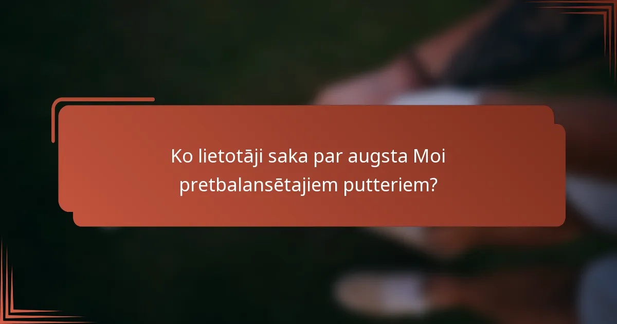 Ko lietotāji saka par augsta Moi pretbalansētajiem putteriem?