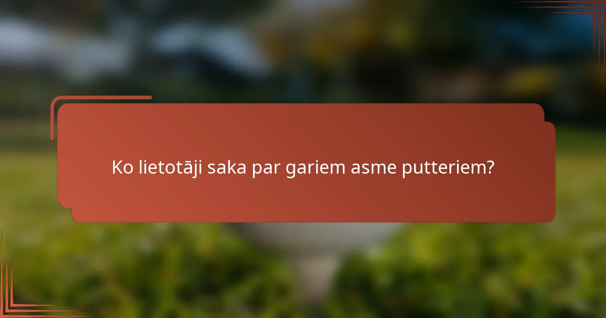 Ko lietotāji saka par gariem asme putteriem?