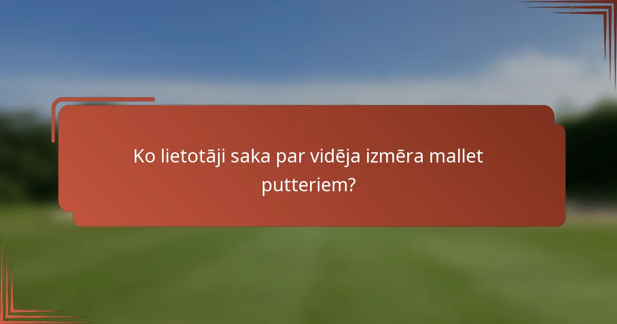 Ko lietotāji saka par vidēja izmēra mallet putteriem?
