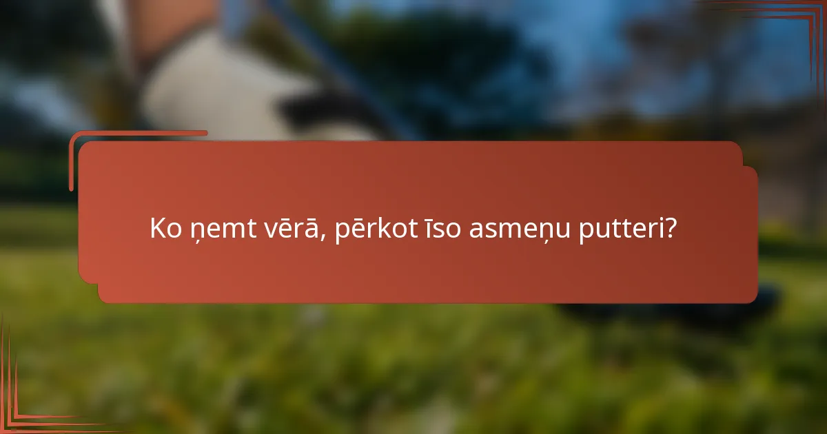 Ko ņemt vērā, pērkot īso asmeņu putteri?