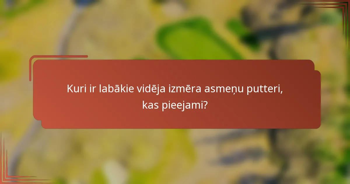 Kuri ir labākie vidēja izmēra asmeņu putteri, kas pieejami?